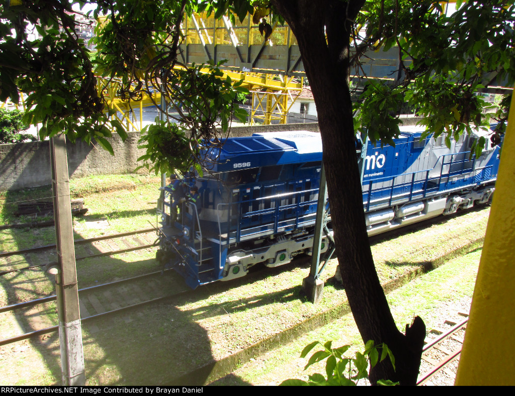 RUMO 9596